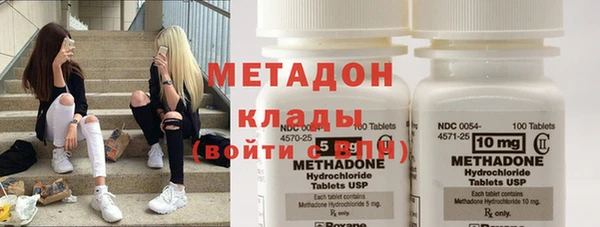 шишки Кодинск