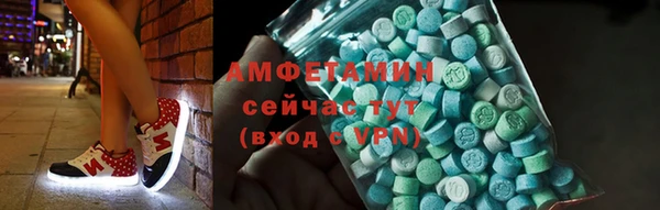 шишки Кодинск