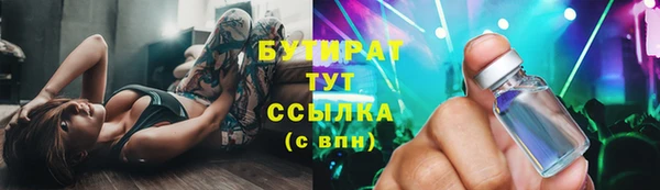 шишки Кодинск