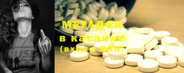 шишки Кодинск