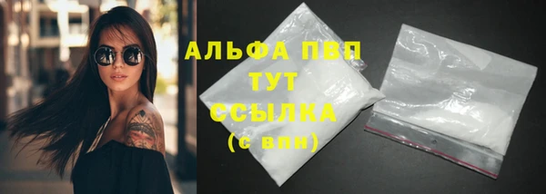 шишки Кодинск