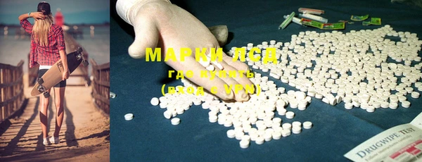 шишки Кодинск