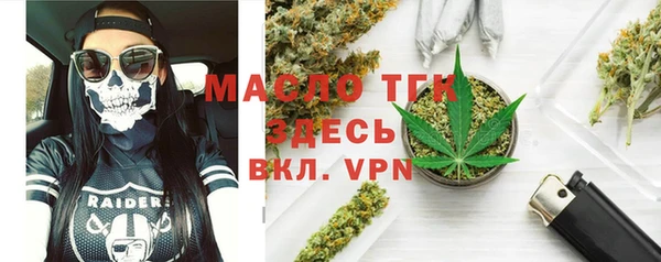 шишки Кодинск