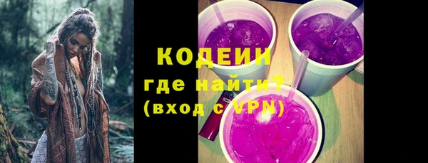 шишки Кодинск