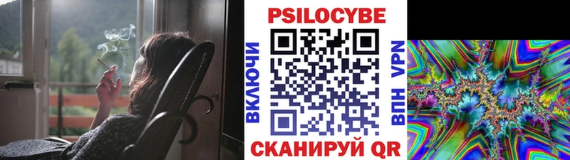 Псилоцибиновые грибы Psilocybine cubensis  Купить где  Жигулёвск 